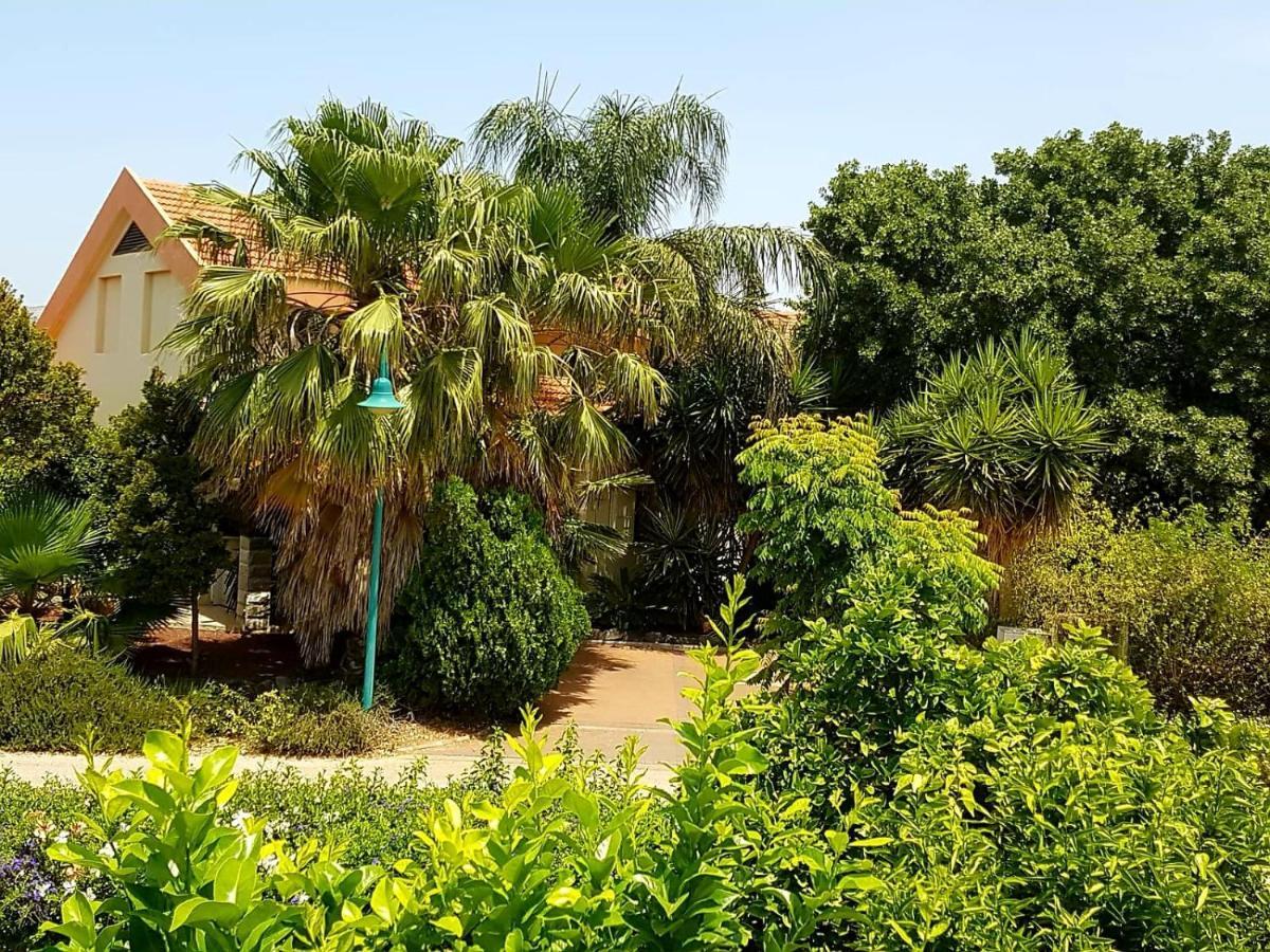 Huge&Private Villa In Kibbutz Dafna Esterno foto